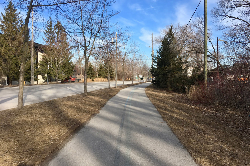 Inline Skating on the Martin Goodman Trail in Toronto, Ontario.