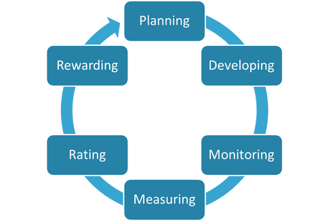 Year-round Performance Appraisal Cycle