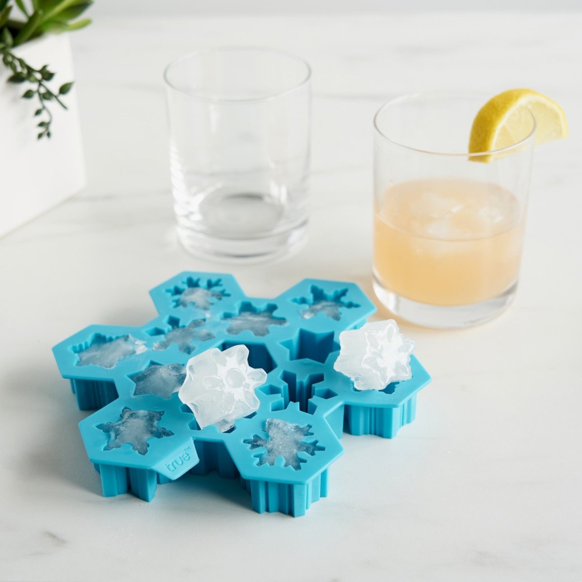 Blush Cactus Ice Cube Tray