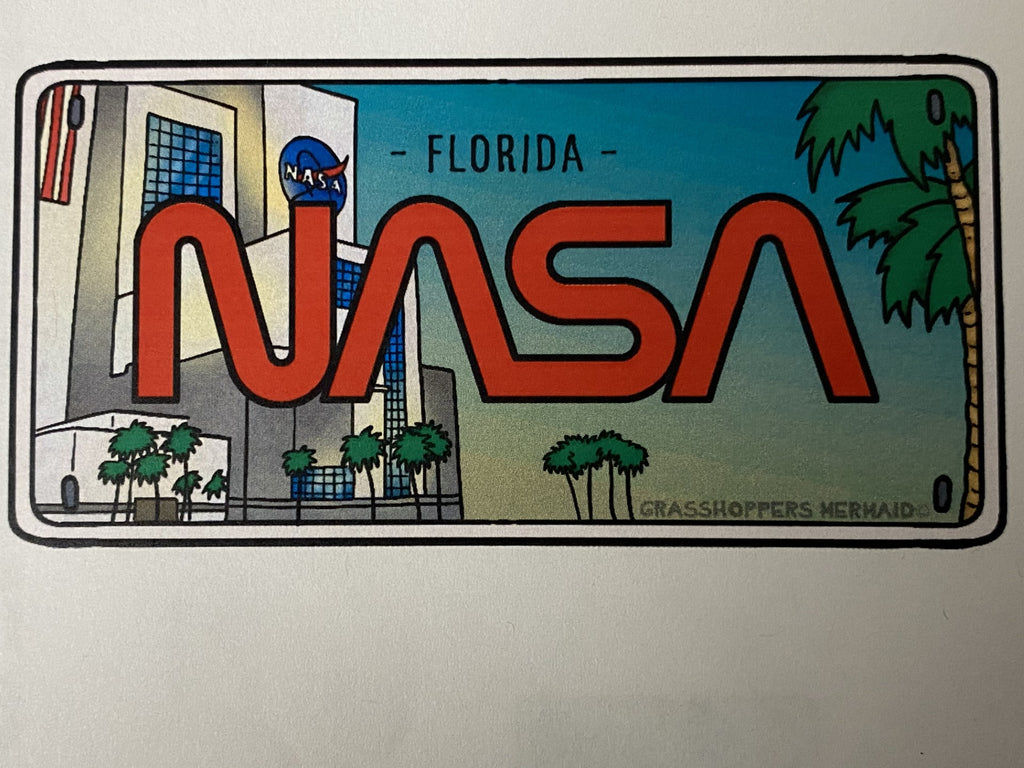 NASA Worm Logo - Vinyl Cutout Sticker