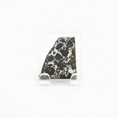 Seymchan with Olivine Crystals Pallasite Meteorite Slice Specimen