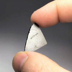 Gibeon Meteorite Specimen