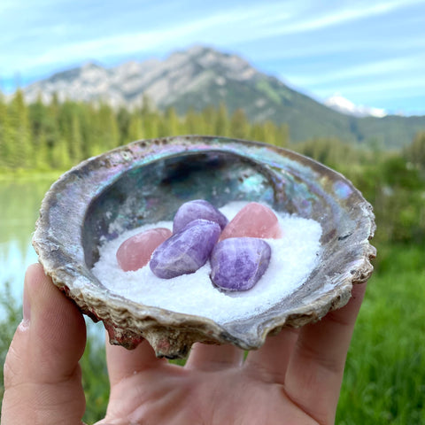 Amethyst and rose quartz in salt in a shell