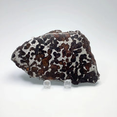 Sericho Pallasite Meteorite Slice Specimen