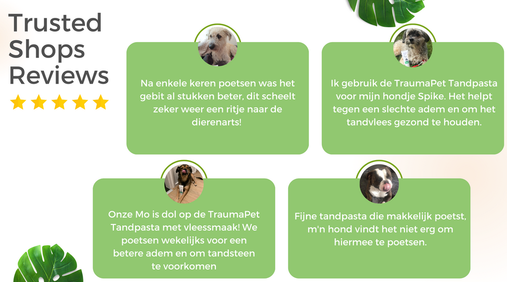 TraumaPet | Trusted Shops Reviews | Tandpasta met colloïdaal zilver