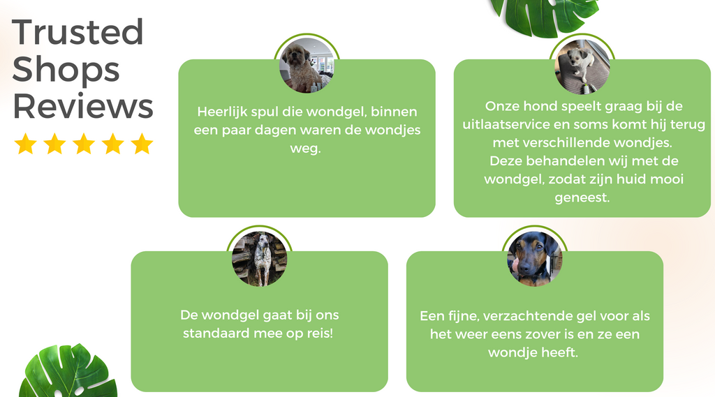 TraumaPet | Trusted Shops Reviews | Wondgel met colloïdaal zilver