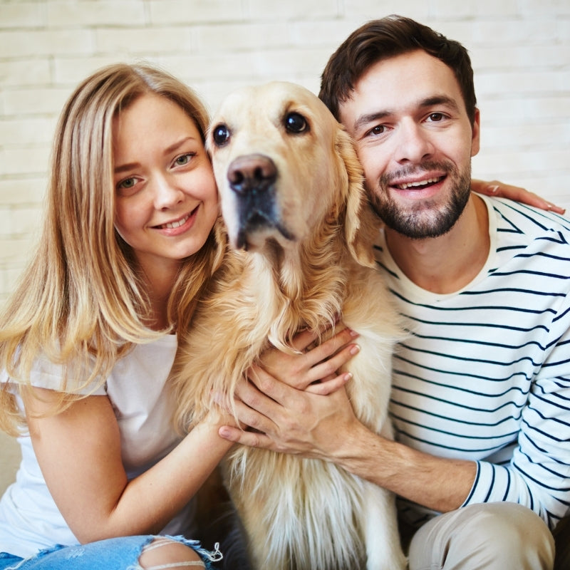 Vous pensez que vous êtes prêt à prendre un chien ou un autre animal de compagnie ? Voici quelques questions dont vous voudrez discuter avant de prendre cette grande décision.