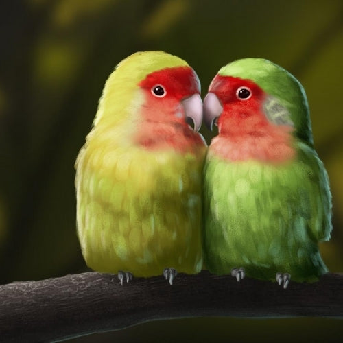 Comment la Monogamie se Reflète Dans la Nature - les oiseaux d'amour