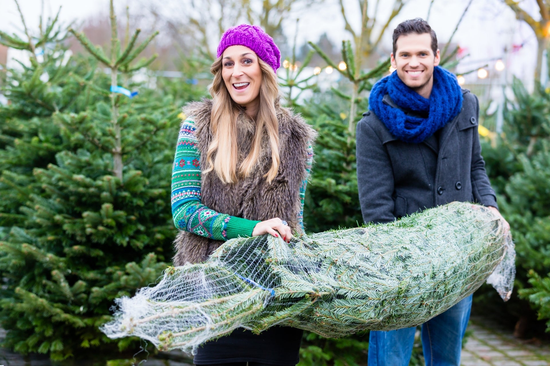 5. Ramenez l'arbre de Noël à la maison (ou construisez-le !)