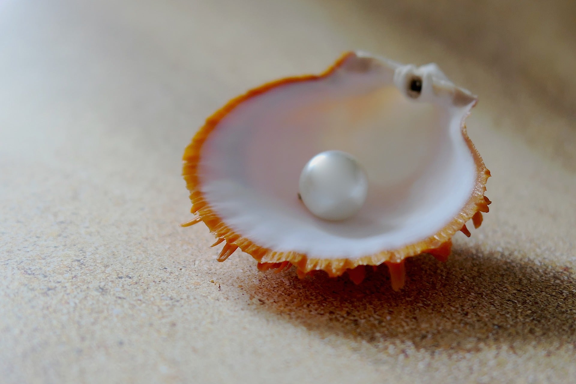 Les perles sont principalement utilisées pour les colliers, les boucles d'oreilles, les bracelets et les bagues