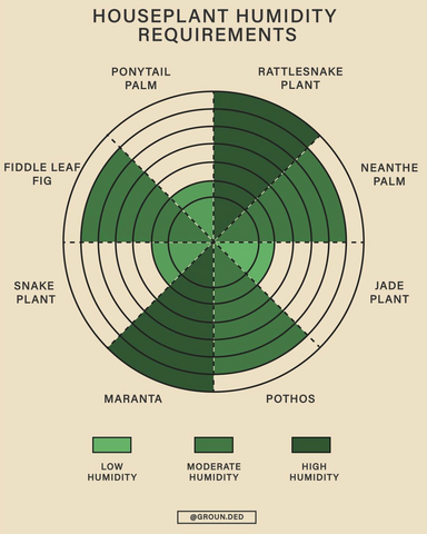 A circular graphic on a beige background shows the different humidity needs for various plants. Green sections display plants with higher humidity requirements, including: Rattlesnake plants, Maranta plants, Fiddle Leaf Figs, Pothos, and Neanthe Palms. Plants including the Jade plant, Ponytail Palm and Snake plant show smaller green sections, indicating their lesser humidity requirements.