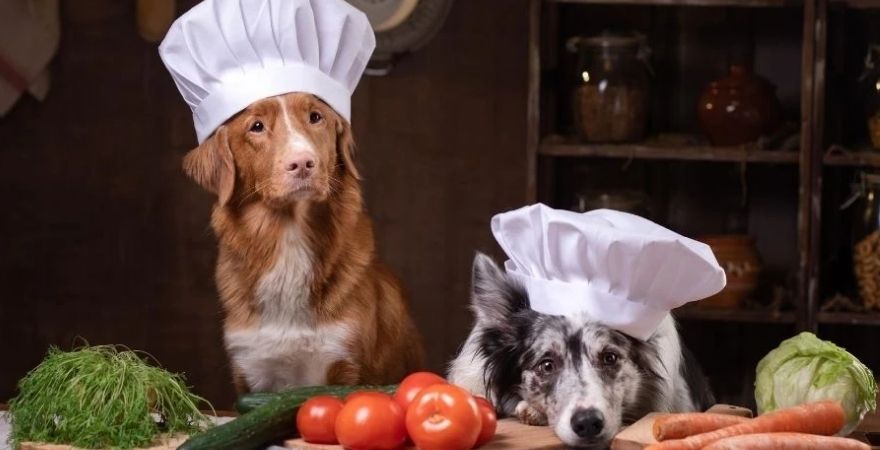 Human Foods That Dogs Can And Can T Eat Lively Paws