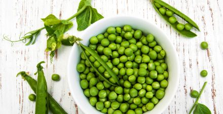 are sugar snap peas safe tor dogs