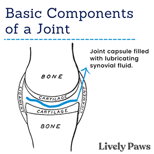 Joint Structure