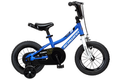 training wheels for schwinn bike