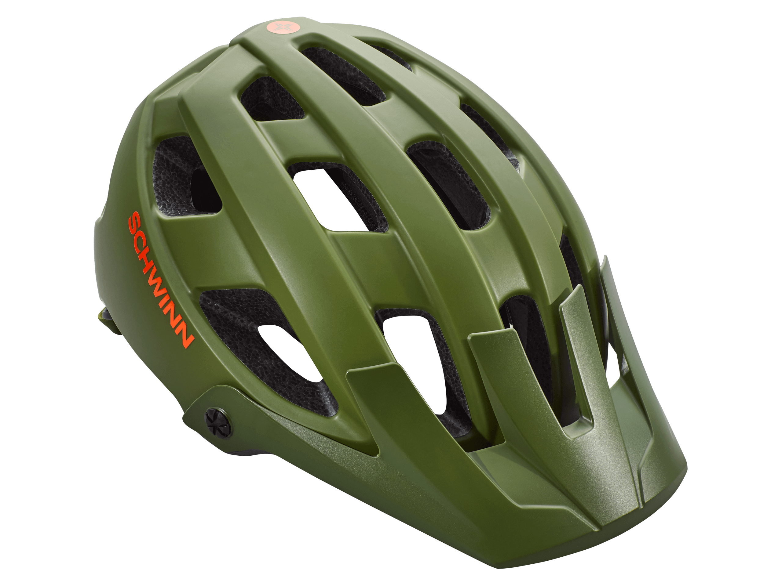 schwinn paceline bike helmet