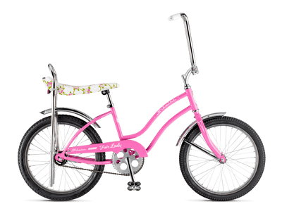 basket for schwinn cruiser bike