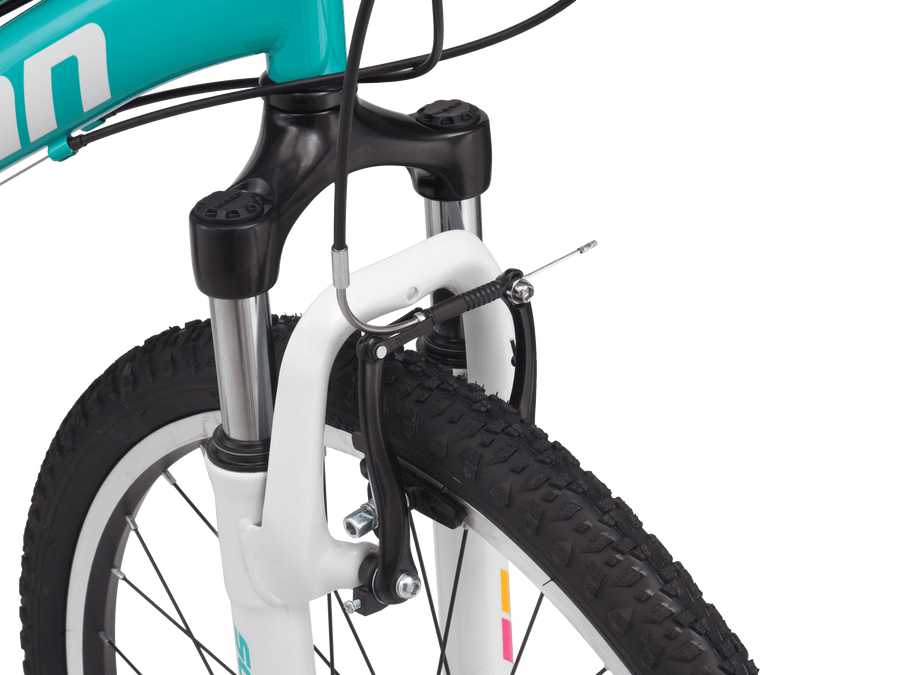 schwinn high timber 24