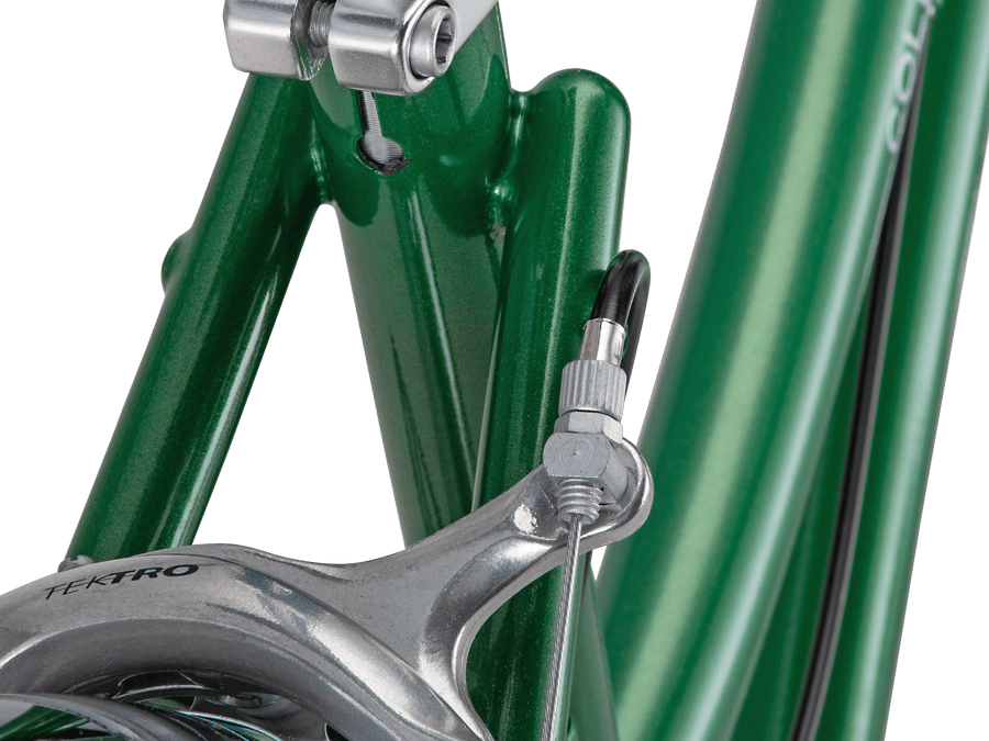 schwinn collegiate 125th anniversary