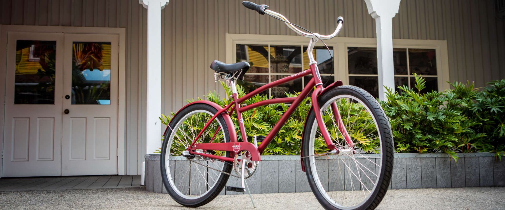 schwinn cruiser 3