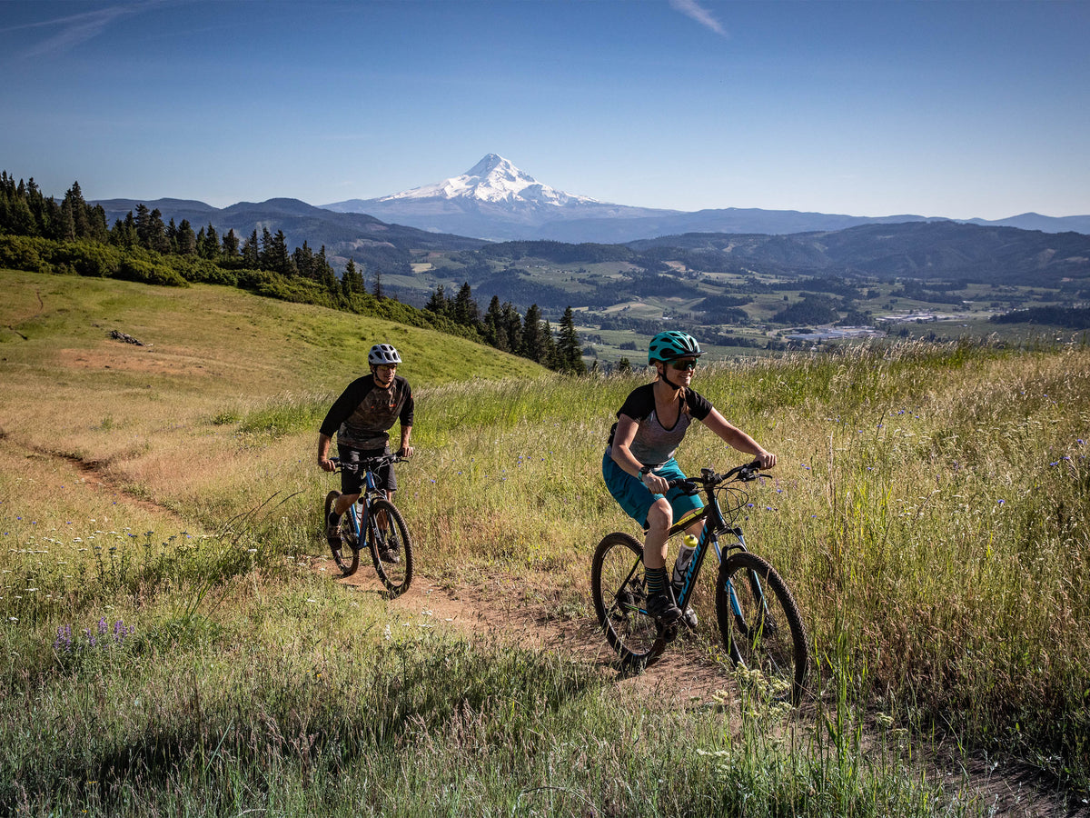 Mesa 2 Adult Mountain Bike 27.5