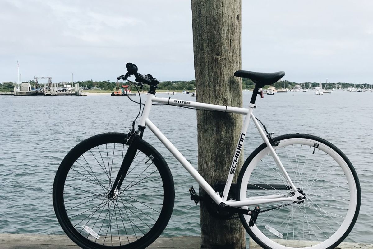 schwinn single speed bike