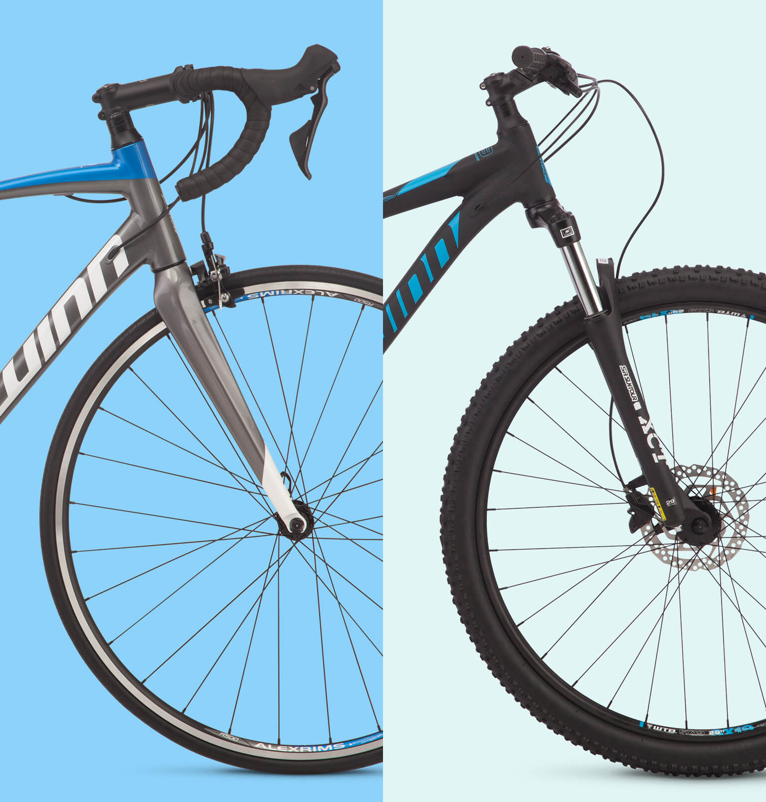 Road Bikes vs Mountain Bikes Whats the Difference?