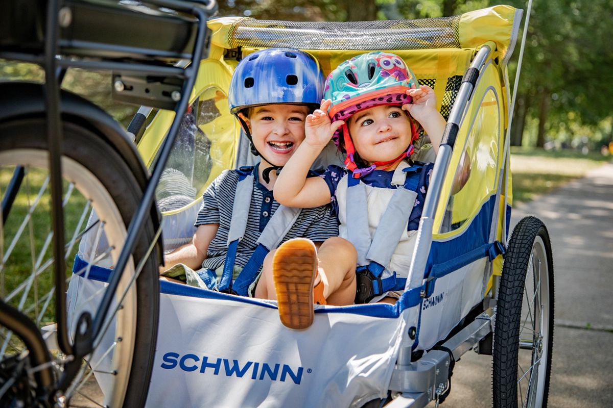 schwinn echo trailer