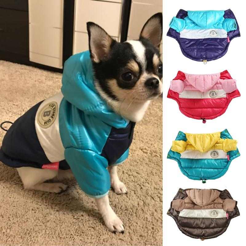 Everyday Chihuahua Winter Jacket | Chihuahua Empire