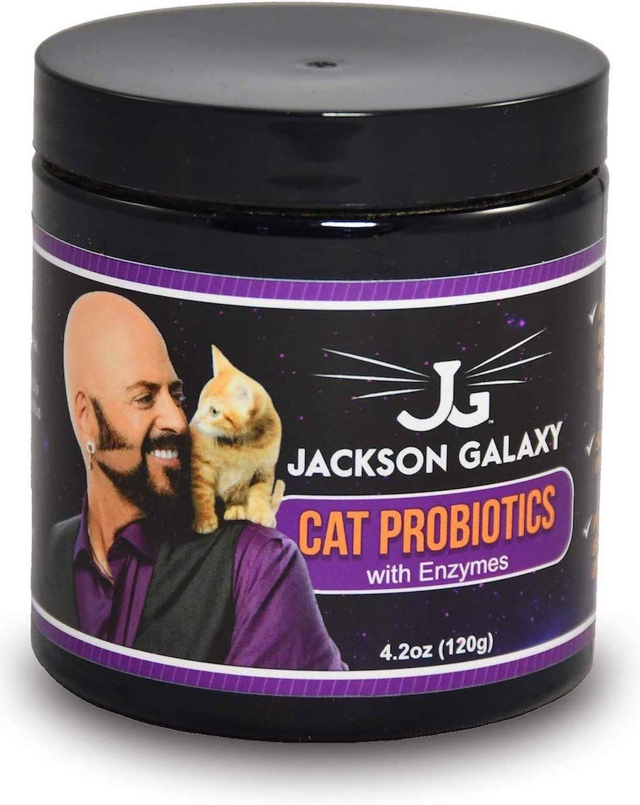 kitten food with probiotics