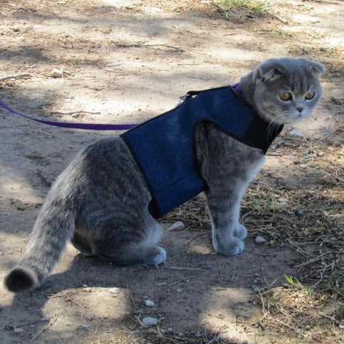 kitty holster cat harness canada