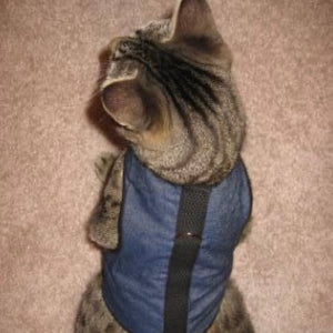 kitty holster walking vest