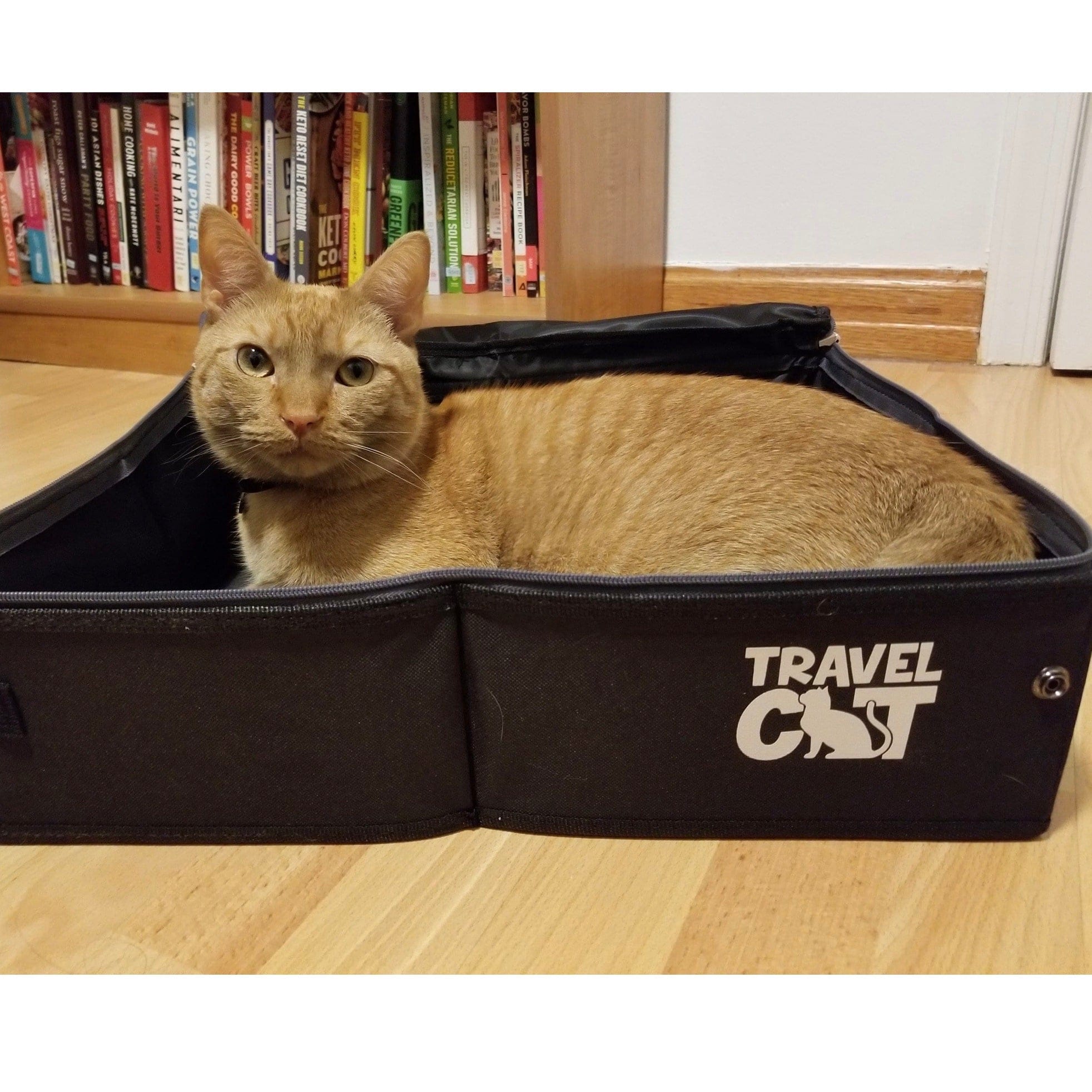 Image of "The Porta-Pawty" Travel Litter Box - Portable Bathroom for Cats