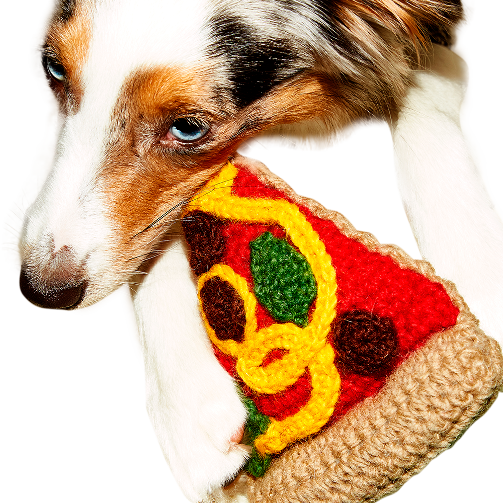 Pizza Dog Toy – Pet-à-Porter