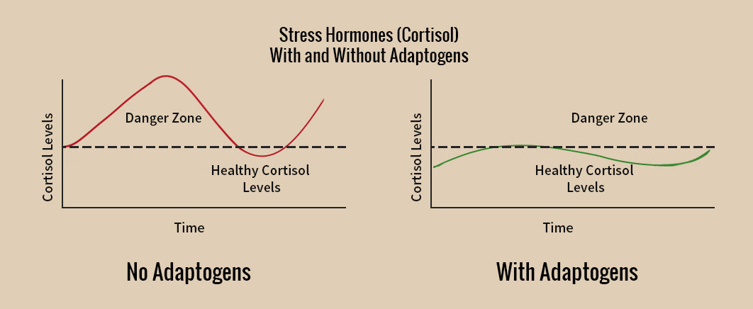 Gráfico de cortisol y estrés: cómo los adaptógenos pueden ayudarte a dormir
