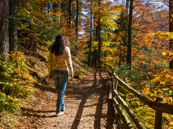 woman walking along a path in a forest