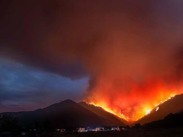 how to plan for a wildfire evacuation plan for pets