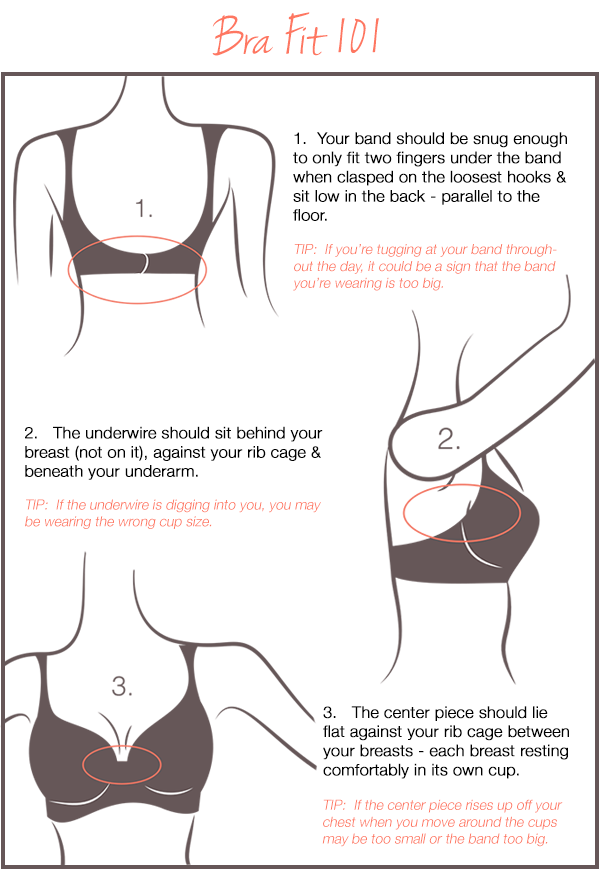 Bra Fitting Guide Bra Fitting Tips