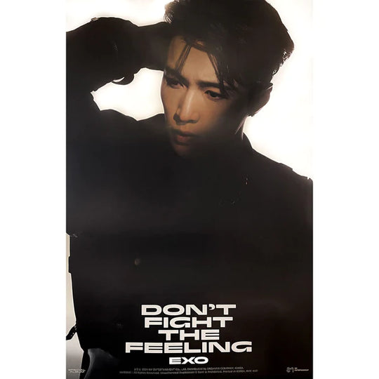 EXO - DON'T FIGHT THE FEELING (JEWEL CASE VER) OFFICIAL POSTER - LAY Image 1