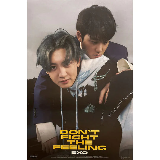 EXO - DON'T FIGHT THE FEELING (EXPANSION VER) OFFICIAL POSTER - UNIT DO & CHANYEOL Image 1