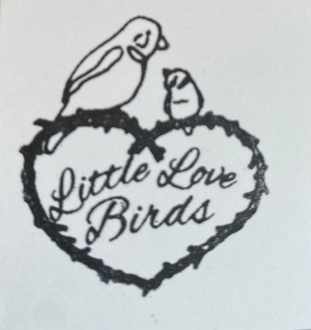 Little Love Birds Ready to Ship Summer Dresses 5T Cream and Pastels