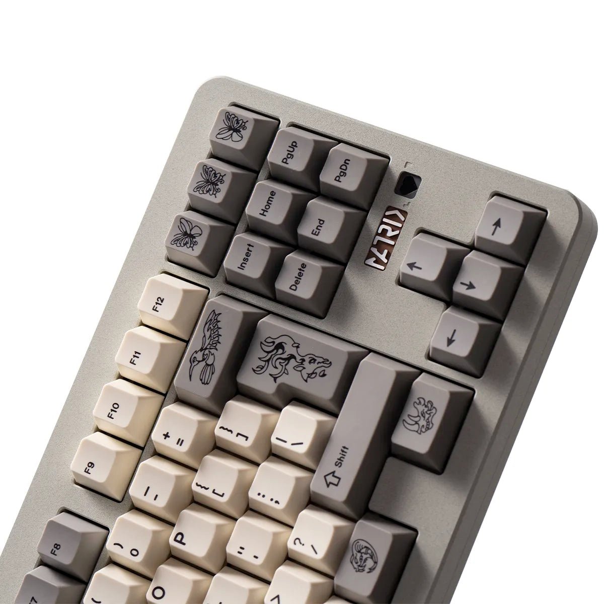 gom fossil keycap set 279445