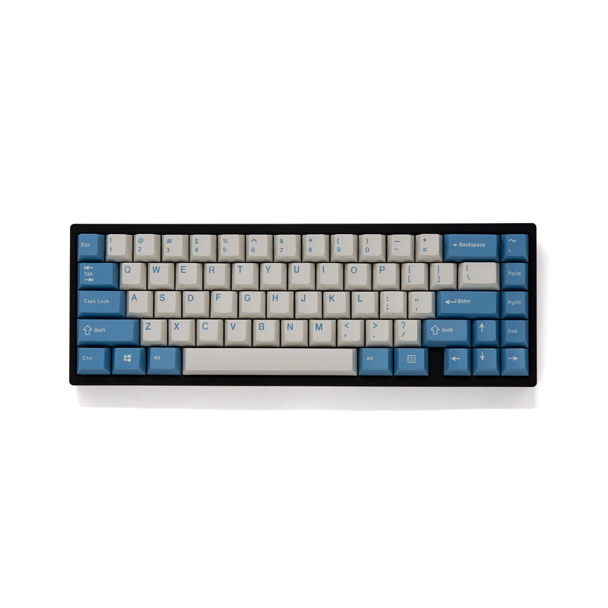 enjoypbt blue