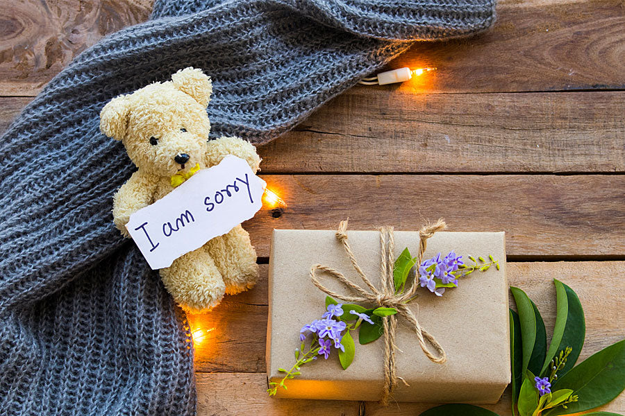 Teddy bear with gift and apology sign