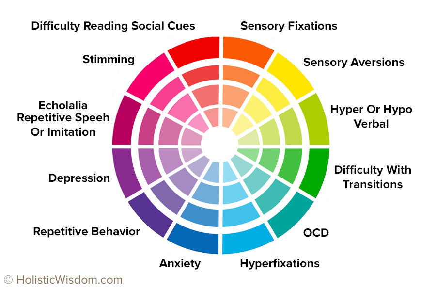 Autism Spectrum Disorder Wheel Graphic (ASD)