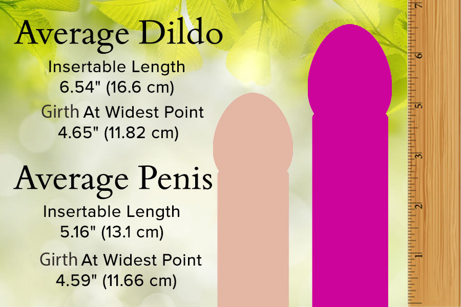 Average Dildo Size