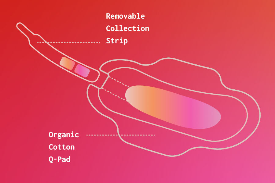 Diagram of the Q-pad for blood testing through a menstrual pad