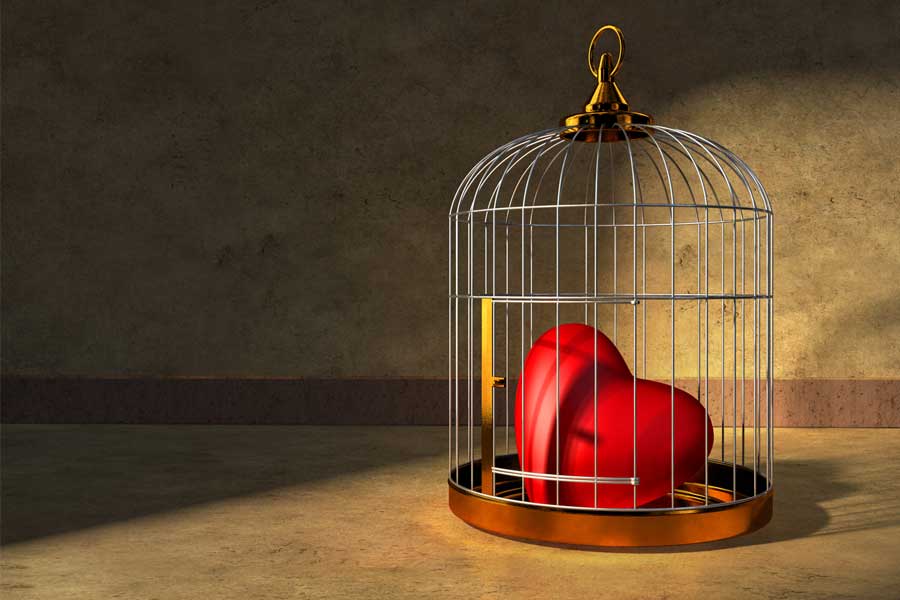 heart in a cage