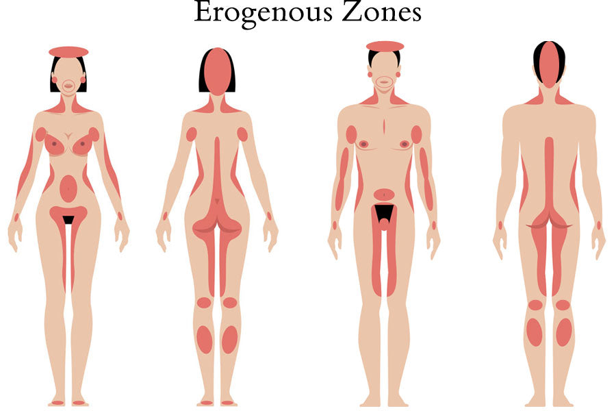 Erogenous Zones