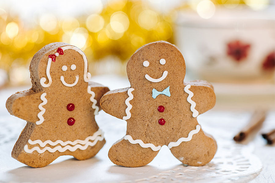 Gingerbread couple holiday lights